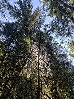 IMG_5149
