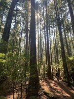 IMG_5161(2)