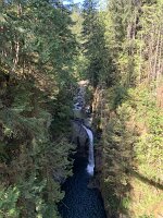 IMG_4923(1)