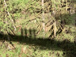 IMG_4927(1)