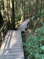 IMG_4930(1)