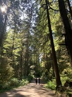 IMG_4963