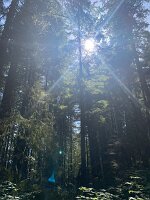 IMG_4968(1)
