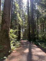 IMG_4969(1)