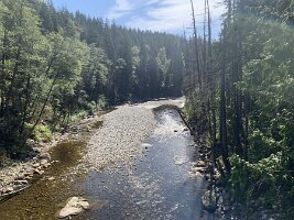 IMG_4974(1)