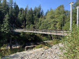 IMG_4978(1)