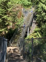 IMG_4985(1)