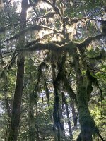 IMG_4989(1)