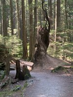 IMG_4990(1)
