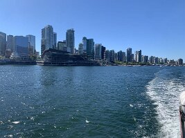 IMG_4764