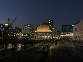 IMG_5059(1)