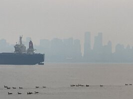 IMG_5184(1)