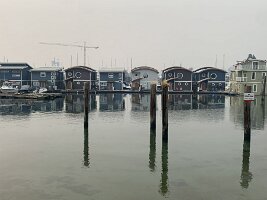 IMG_5185(1)