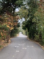 IMG_5189(1)