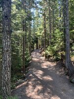 IMG_4833(1)
