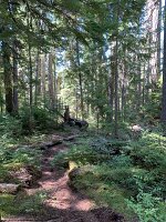 IMG_4860(1)