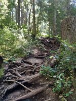 IMG_4875(1)