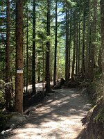 IMG_4883