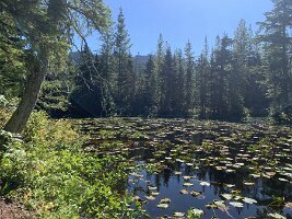 IMG_4897(1)