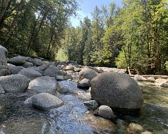 Lynn Creek