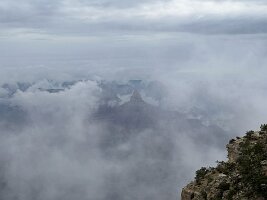 IMG_0004(1)