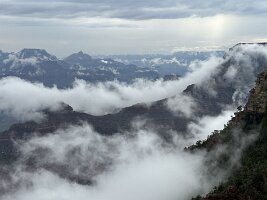 IMG_0029(1)