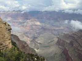 IMG_0118
