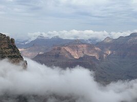 IMG_9976(1)