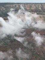 IMG_9992