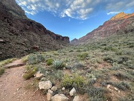 IMG_0549(1)