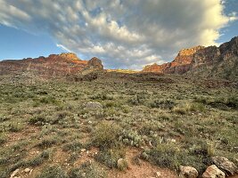 IMG_0551(1)