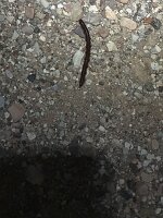 IMG_0552(1)