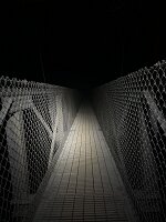 IMG_0558(1)