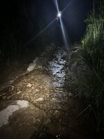 IMG_0562(2)