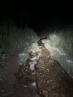 IMG_0564(1)