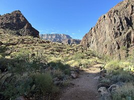 IMG_0410(1)