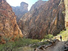 IMG_0429(1)