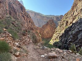 IMG_0436(1)