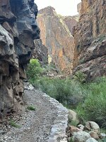 IMG_0441(1)