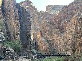 IMG_0445(1)