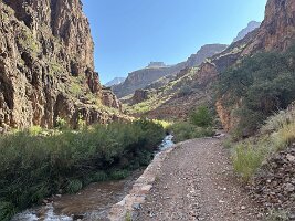 IMG_0454(1)
