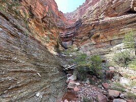 IMG_0508(1)