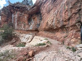 IMG_0514(1)