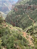 IMG_0517(1)