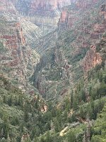 IMG_0529(1)