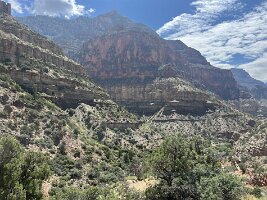 IMG_7515(1)