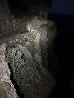IMG_0200(1)