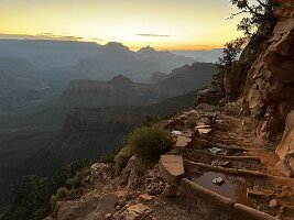 IMG_0236
