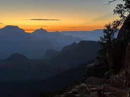 IMG_0238