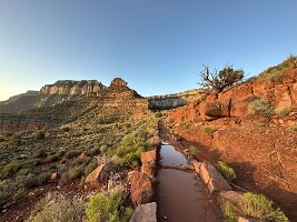 IMG_0307(1)